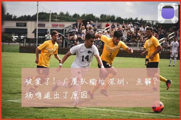 破案了！广厦队输给深圳，点解？杨鸣道出了原因