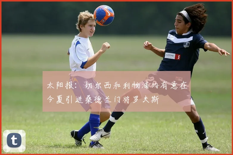 太阳报：切尔西和利物浦均有意在今夏引进桑德兰门将罗夫斯